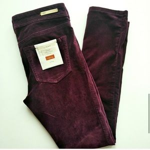Pilcro and the Letterpress Stretch Velvet Legging